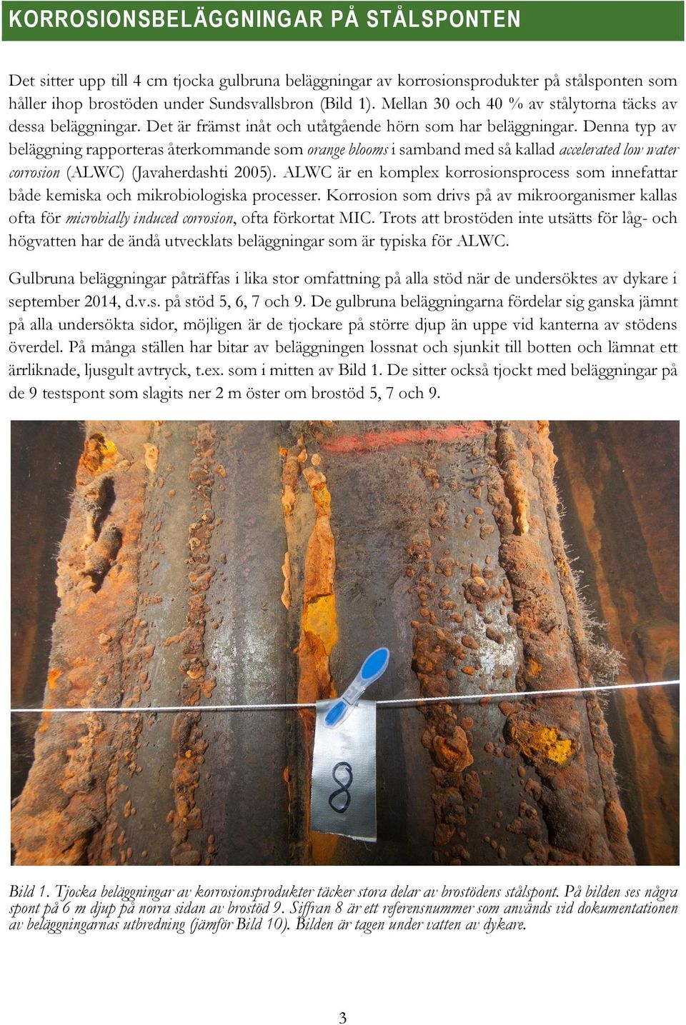 Denna typ av beläggning rapporteras återkommande som orange blooms i samband med så kallad accelerated low water corrosion (ALWC) (Javaherdashti 2005).