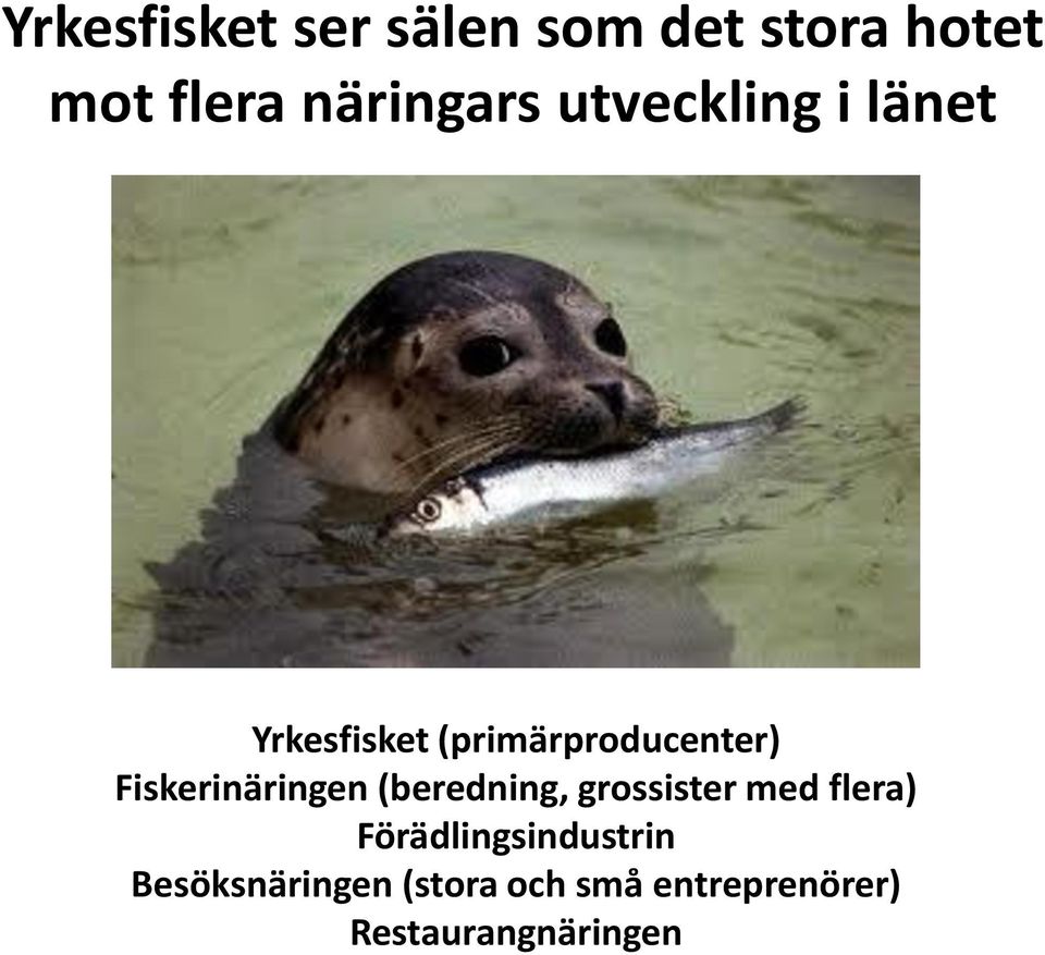 Fiskerinäringen (beredning, grossister med flera)