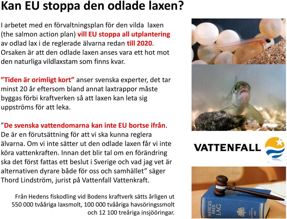 Tiden är orimligt kort anser svenska experter, det tar minst 20 år eftersom bland annat laxtrappor måste byggas förbi kraftverken så att laxen kan leta sig uppströms för att leka.