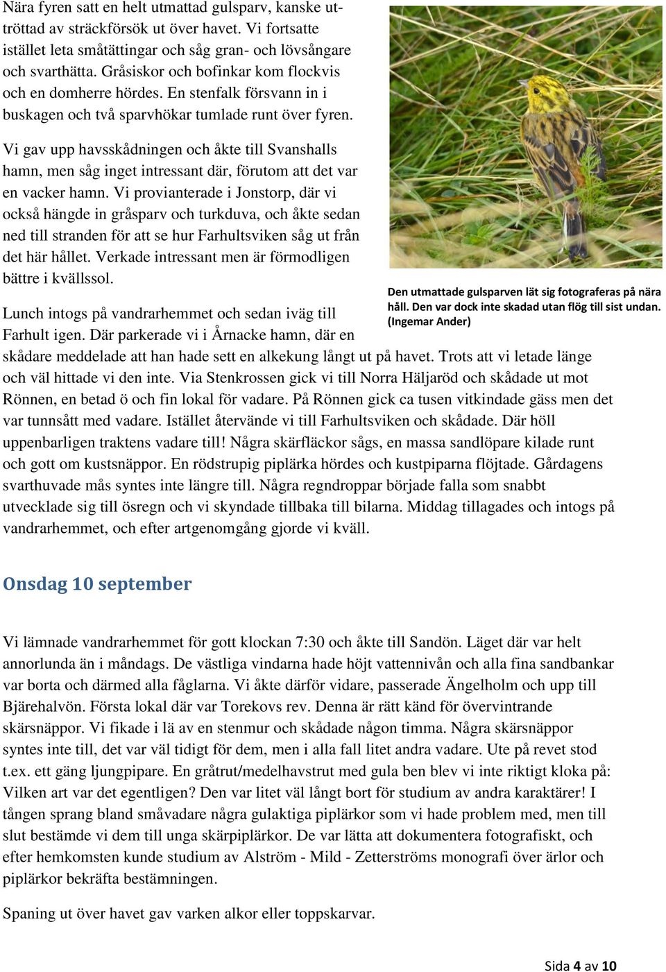 Vi gav upp havsskådningen och åkte till Svanshalls hamn, men såg inget intressant där, förutom att det var en vacker hamn.
