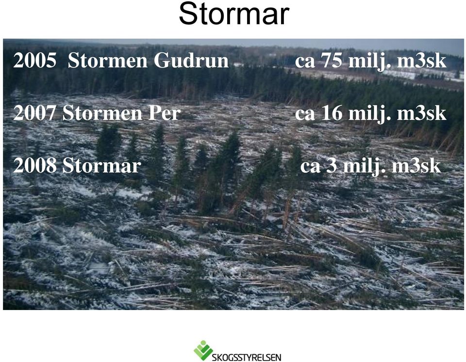 m3sk 2007 Stormen Per ca