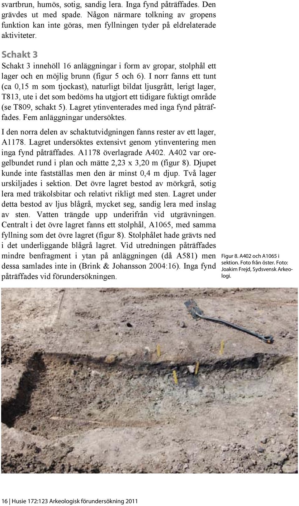 I norr fanns ett tunt (ca 0,15 m som tjockast), naturligt bildat ljusgrått, lerigt lager, T813, ute i det som bedöms ha utgjort ett tidigare fuktigt område (se T809, schakt 5).