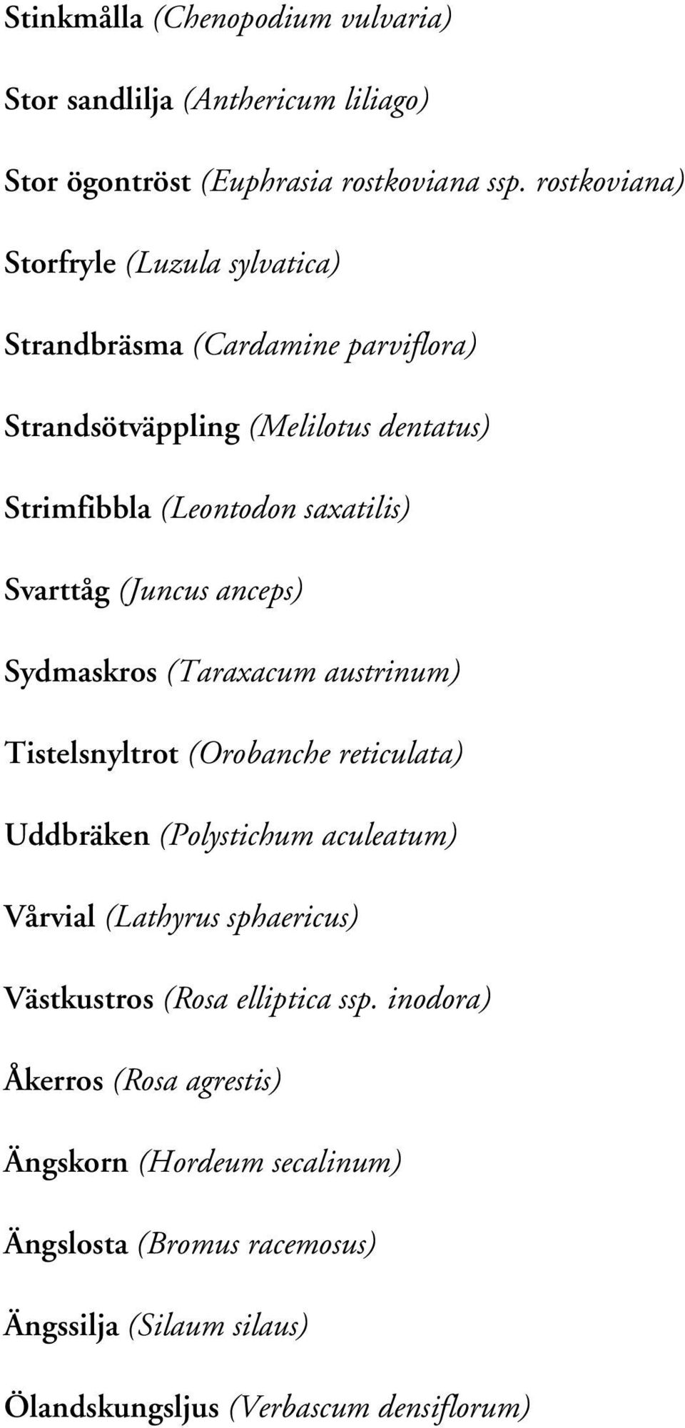 Svarttåg (Juncus anceps) Sydmaskros (Taraxacum austrinum) Tistelsnyltrot (Orobanche reticulata) Uddbräken (Polystichum aculeatum) Vårvial (Lathyrus