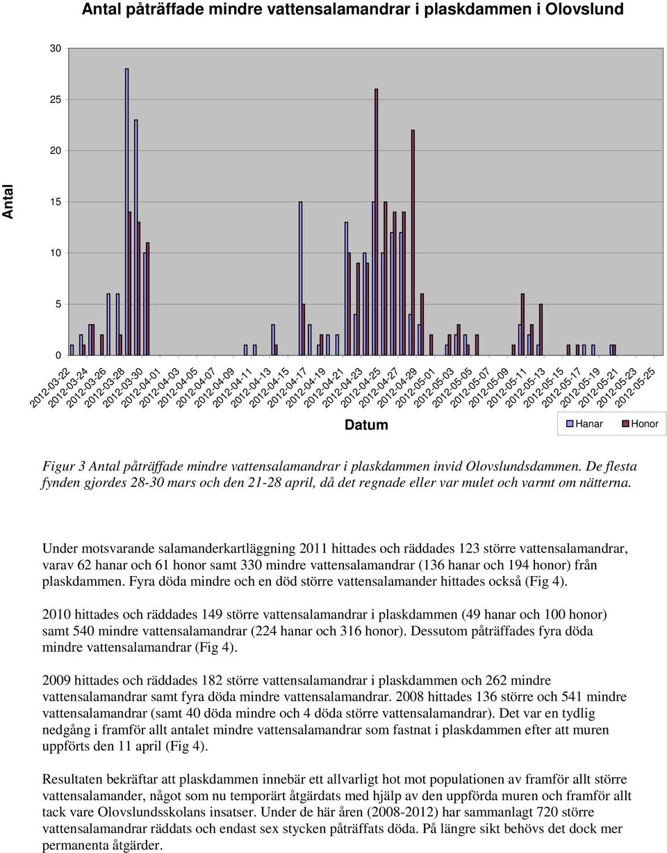 2012-05-13 2012-05-15 2012-05-17 2012-05-19 2012-05-21 Figur 3 Antal påträffade mindre vattensalamandrar i plaskdammen invid Olovslundsdammen.