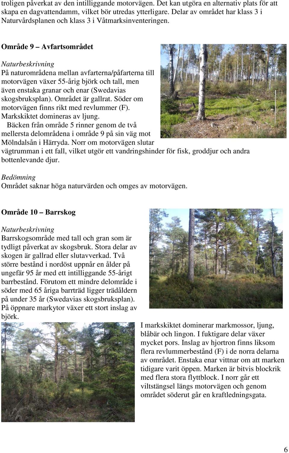 Område 9 Avfartsområdet På naturområdena mellan avfarterna/påfarterna till motorvägen växer 55-årig björk och tall, men även enstaka granar och enar (Swedavias skogsbruksplan). Området är gallrat.