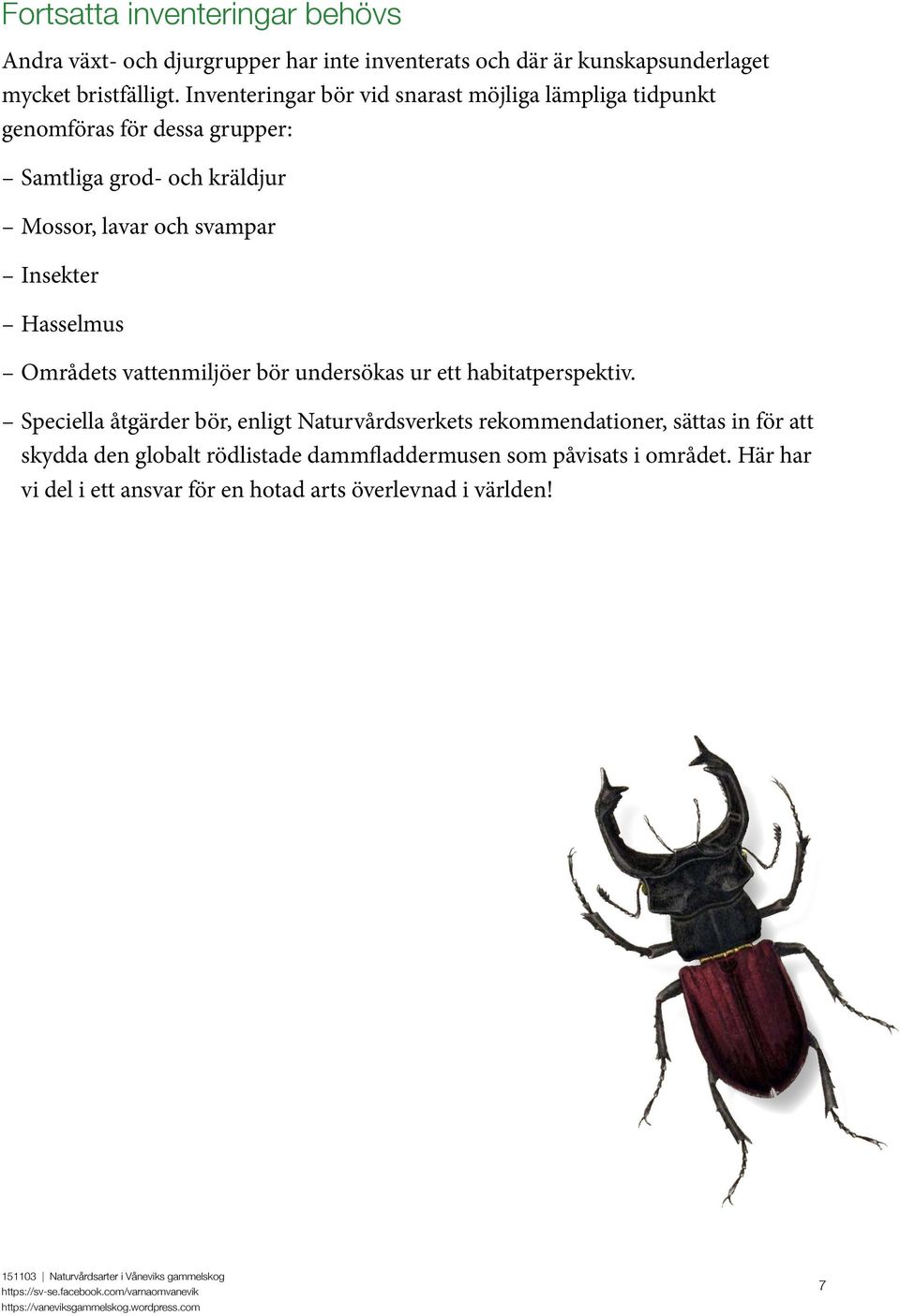 Insekter Hasselmus Områdets vattenmiljöer bör undersökas ur ett habitatperspektiv.