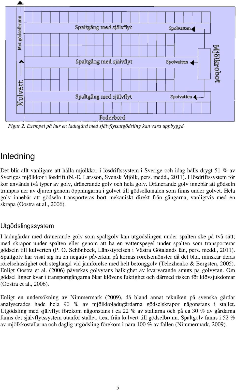I lösdriftssystem för kor används två typer av golv, dränerande golv och hela golv.