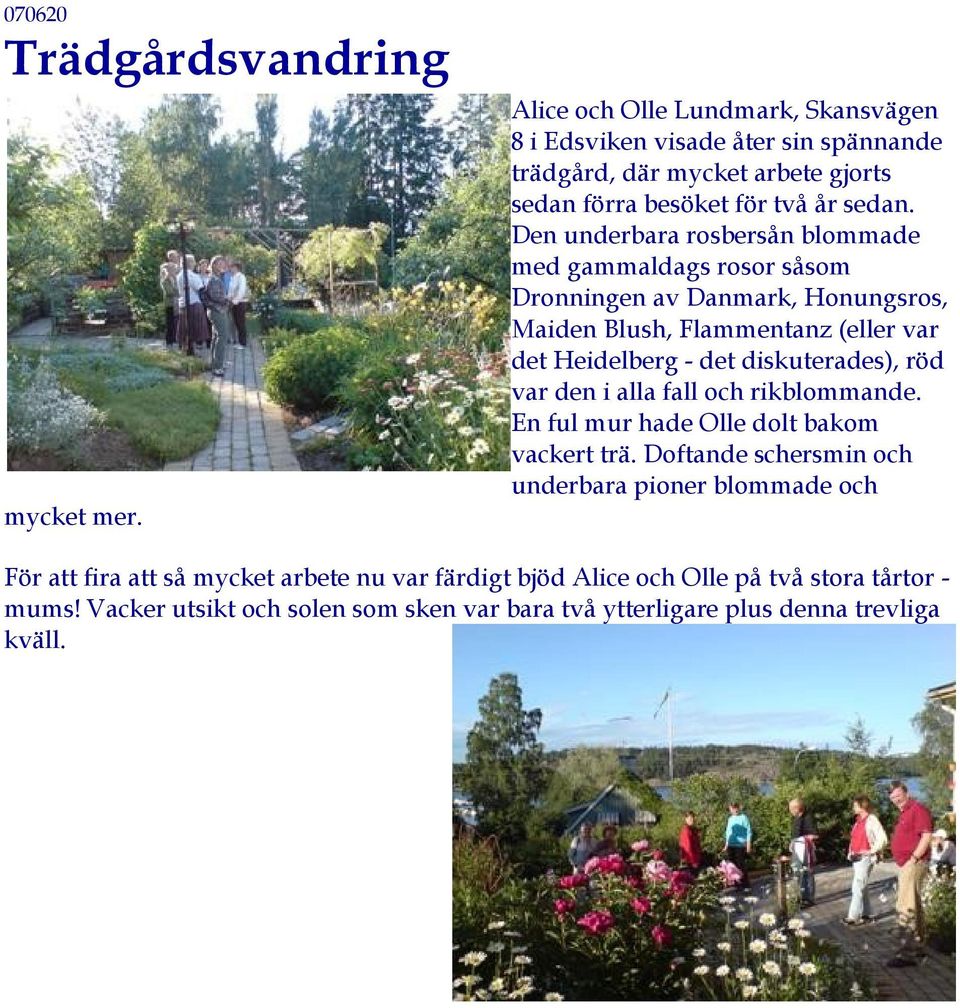 Den underbara rosbersån blommade med gammaldags rosor såsom Dronningen av Danmark, Honungsros, Maiden Blush, Flammentanz (eller var det Heidelberg - det diskuterades),