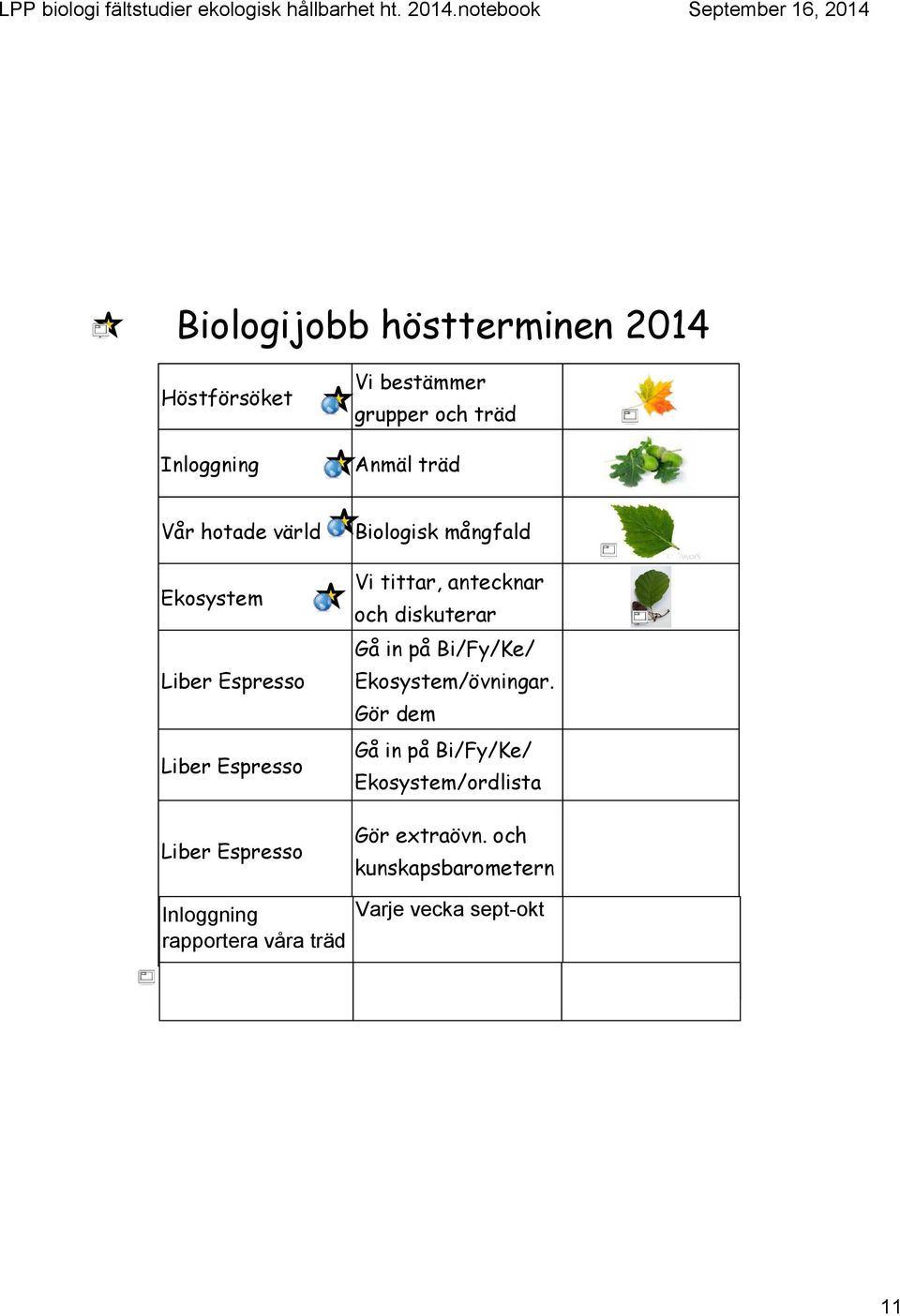 antecknar och diskuterar Gå in på Bi/Fy/Ke/ Ekosystem/övningar.