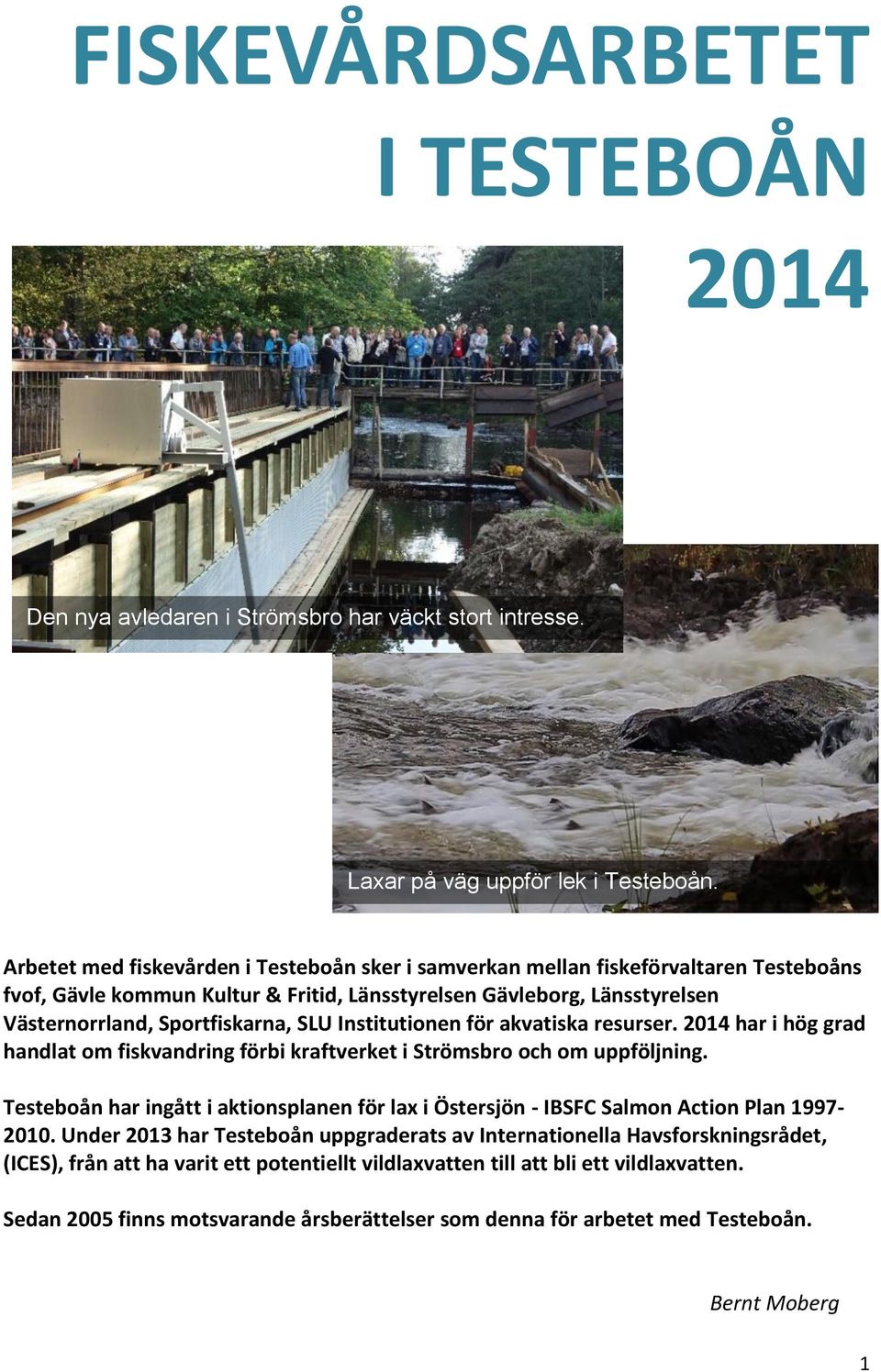 Institutionen för akvatiska resurser. 2014 har i hög grad handlat om fiskvandring förbi kraftverket i Strömsbro och om uppföljning.