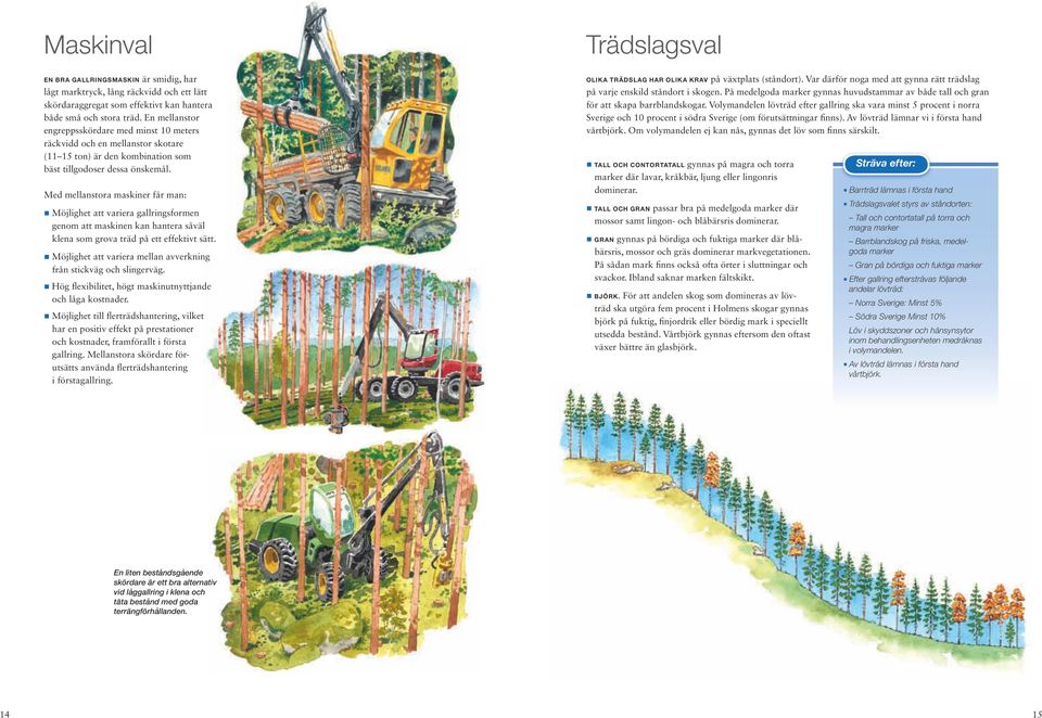 Med mellanstora maskiner får man: Möjlighet att variera gallringsformen genom att maskinen kan hantera såväl klena som grova träd på ett effektivt sätt.