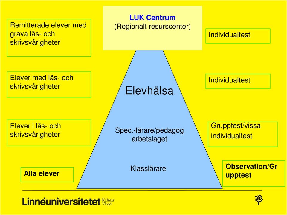 Individualtest Elever i läs- och skrivsvårigheter Spec.