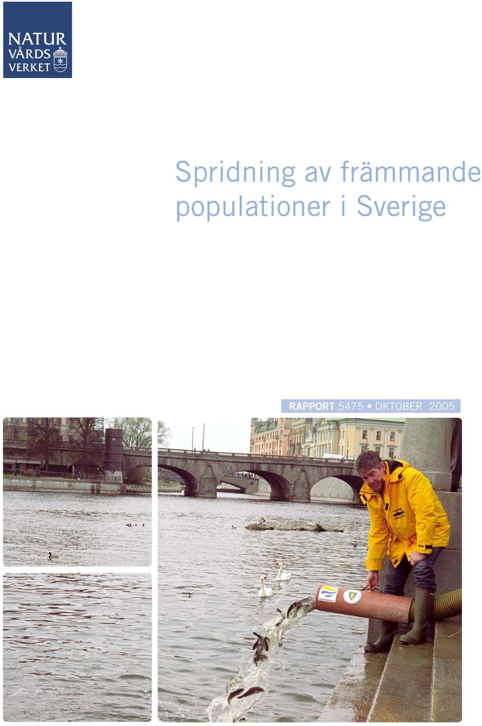 populationer i
