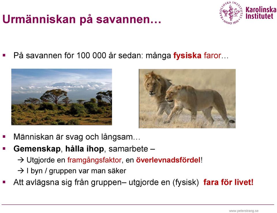Utgjorde en framgångsfaktor, en överlevnadsfördel!