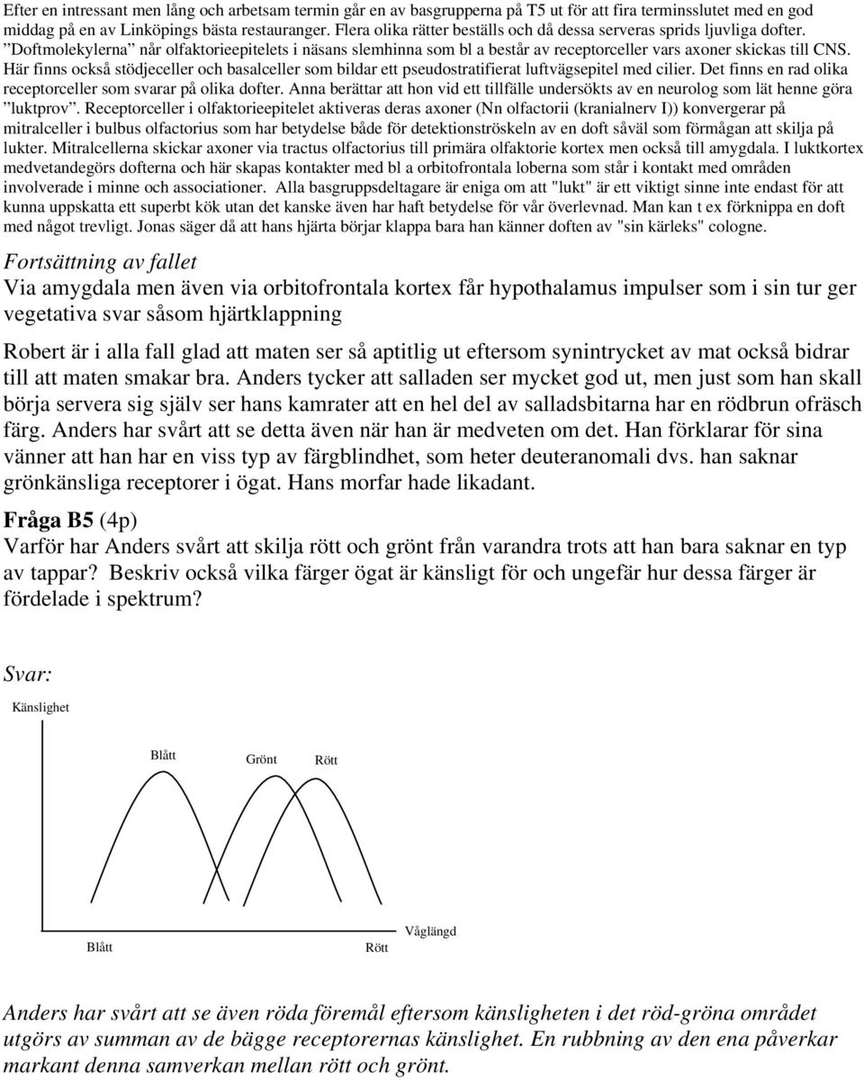 Här finns också stödjeceller och basalceller som bildar ett pseudostratifierat luftvägsepitel med cilier. Det finns en rad olika receptorceller som svarar på olika dofter.