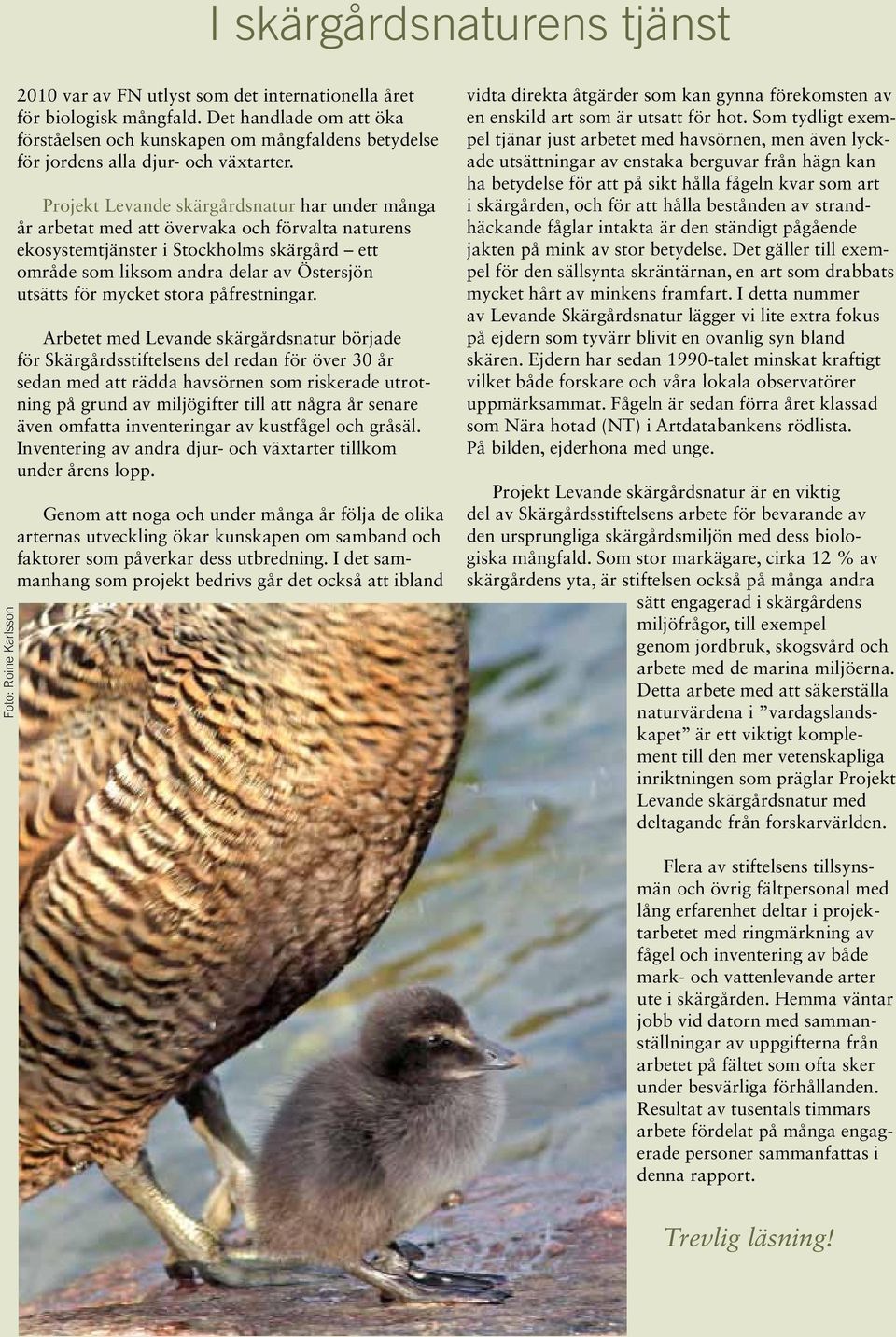 Projekt Levande skärgårdsnatur har under många år arbetat med att övervaka och förvalta naturens ekosystemtjänster i Stockholms skärgård ett område som liksom andra delar av Östersjön utsätts för