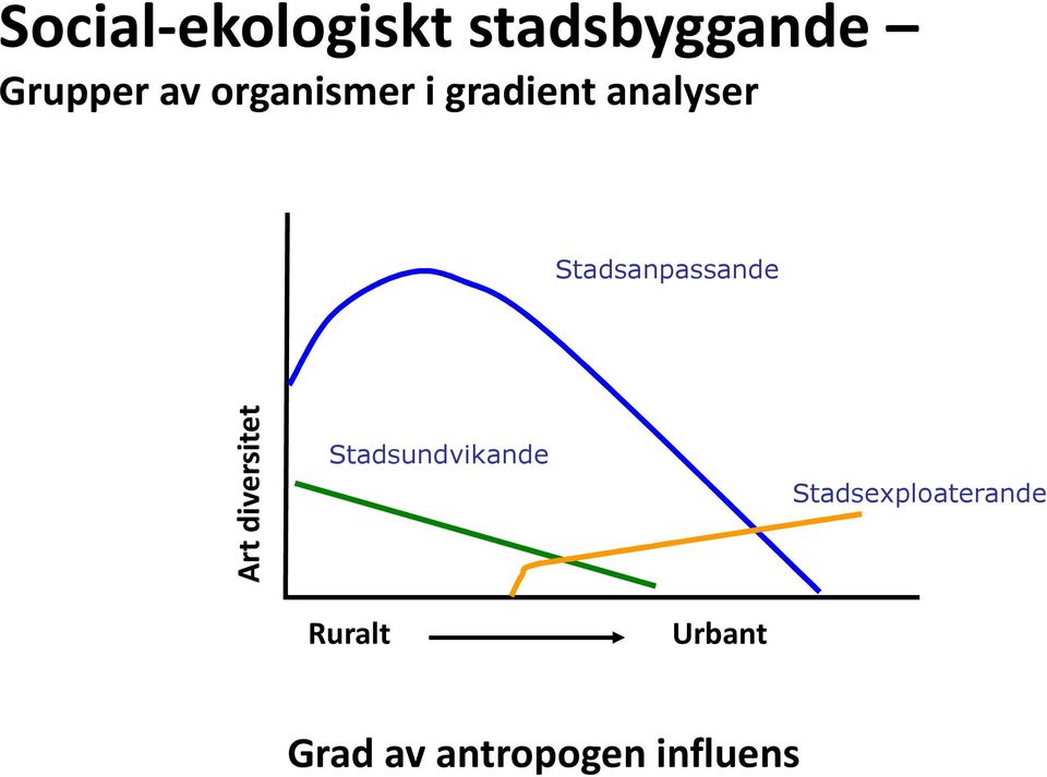 diversitet Stadsundvikande