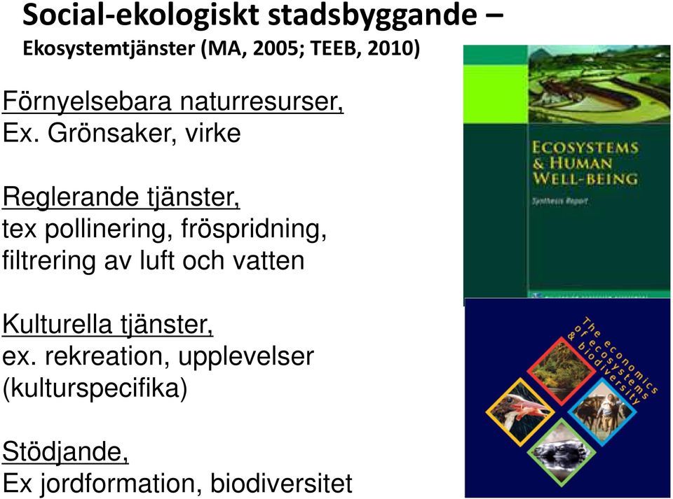 fröspridning, filtrering av luft och vatten Kulturella tjänster, ex.