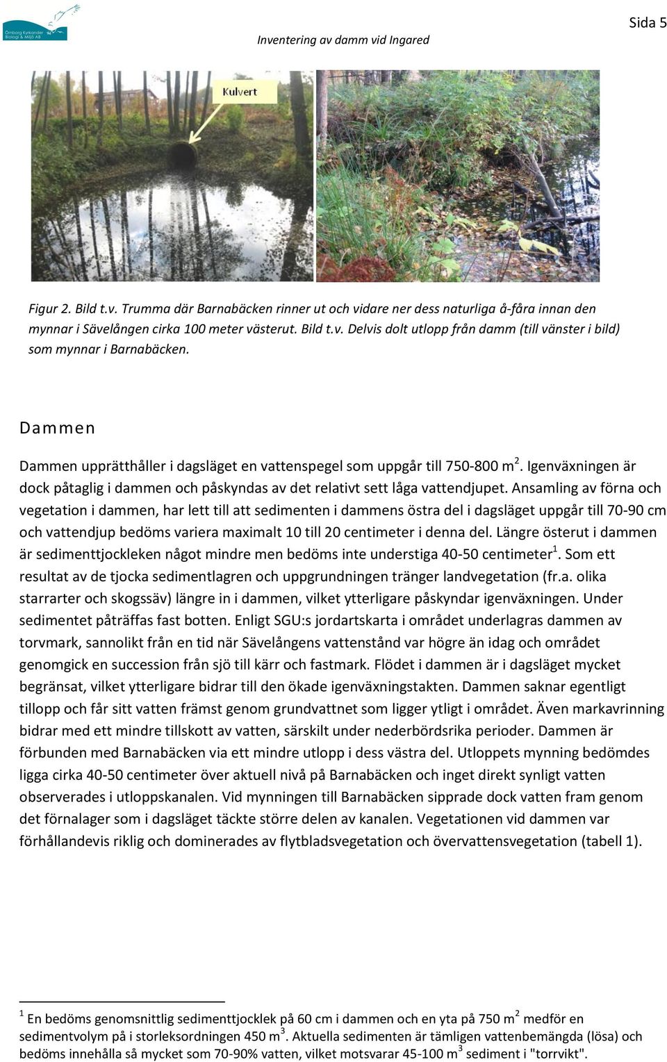 Ansamling av förna och vegetation i dammen, har lett till att sedimenten i dammens östra del i dagsläget uppgår till 70-90 cm och vattendjup bedöms variera maximalt 10 till 20 centimeter i denna del.