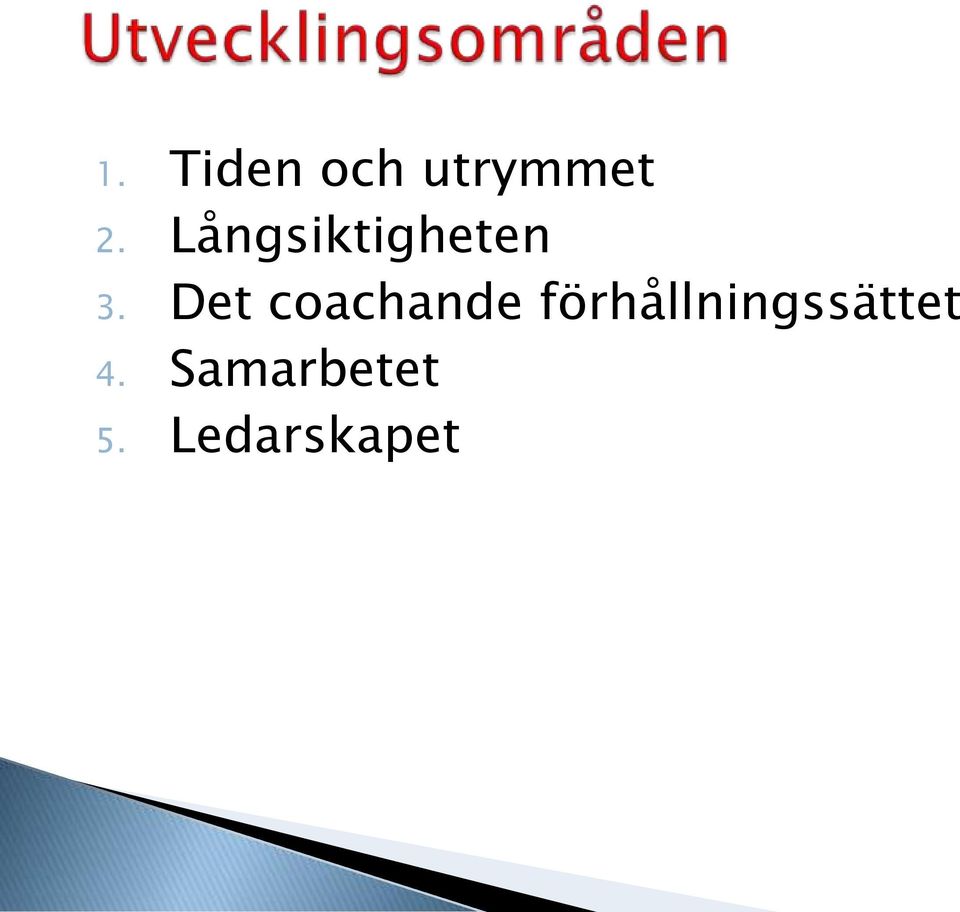 Det coachande