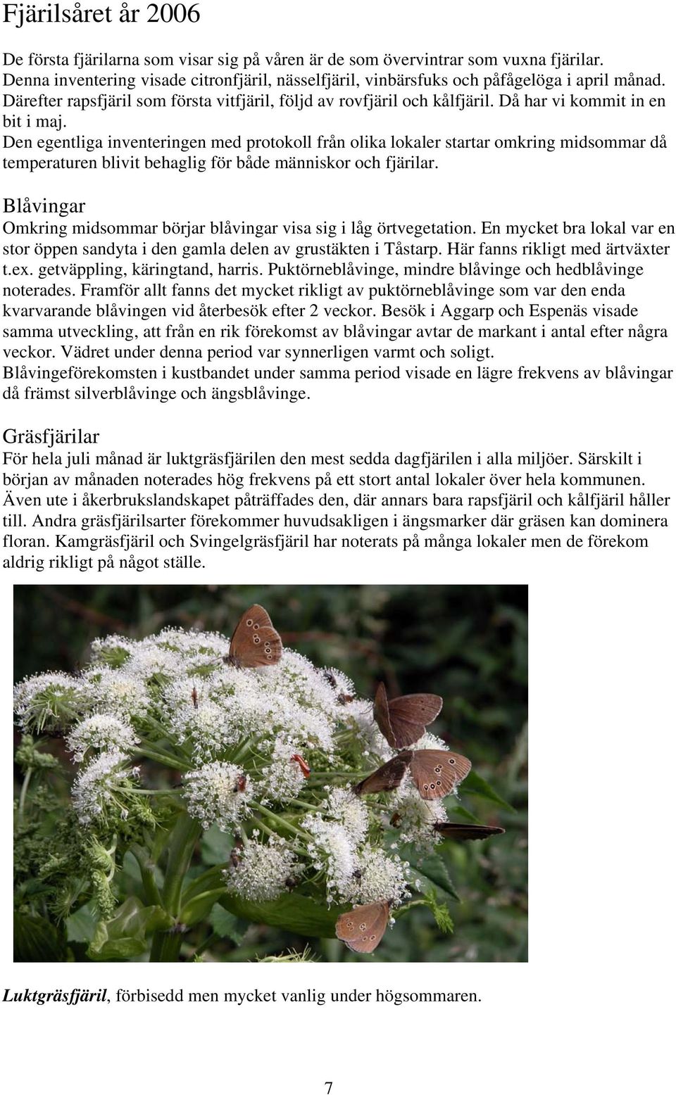 Den egentliga inventeringen med protokoll från olika lokaler startar omkring midsommar då temperaturen blivit behaglig för både människor och fjärilar.