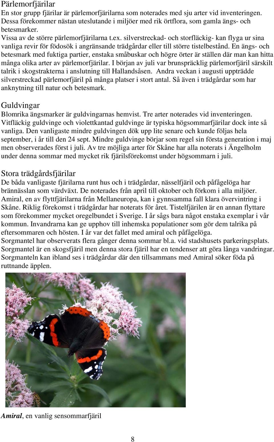 silverstreckad- och storfläckig- kan flyga ur sina vanliga revir för födosök i angränsande trädgårdar eller till större tistelbestånd.