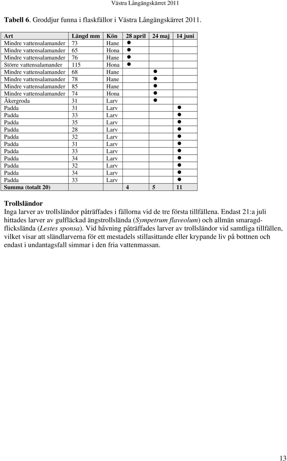 Hane Mindre vattensalamander 78 Hane Mindre vattensalamander 85 Hane Mindre vattensalamander 74 Hona Åkergroda 31 Larv Padda 31 Larv Padda 33 Larv Padda 35 Larv Padda 28 Larv Padda 32 Larv Padda 31