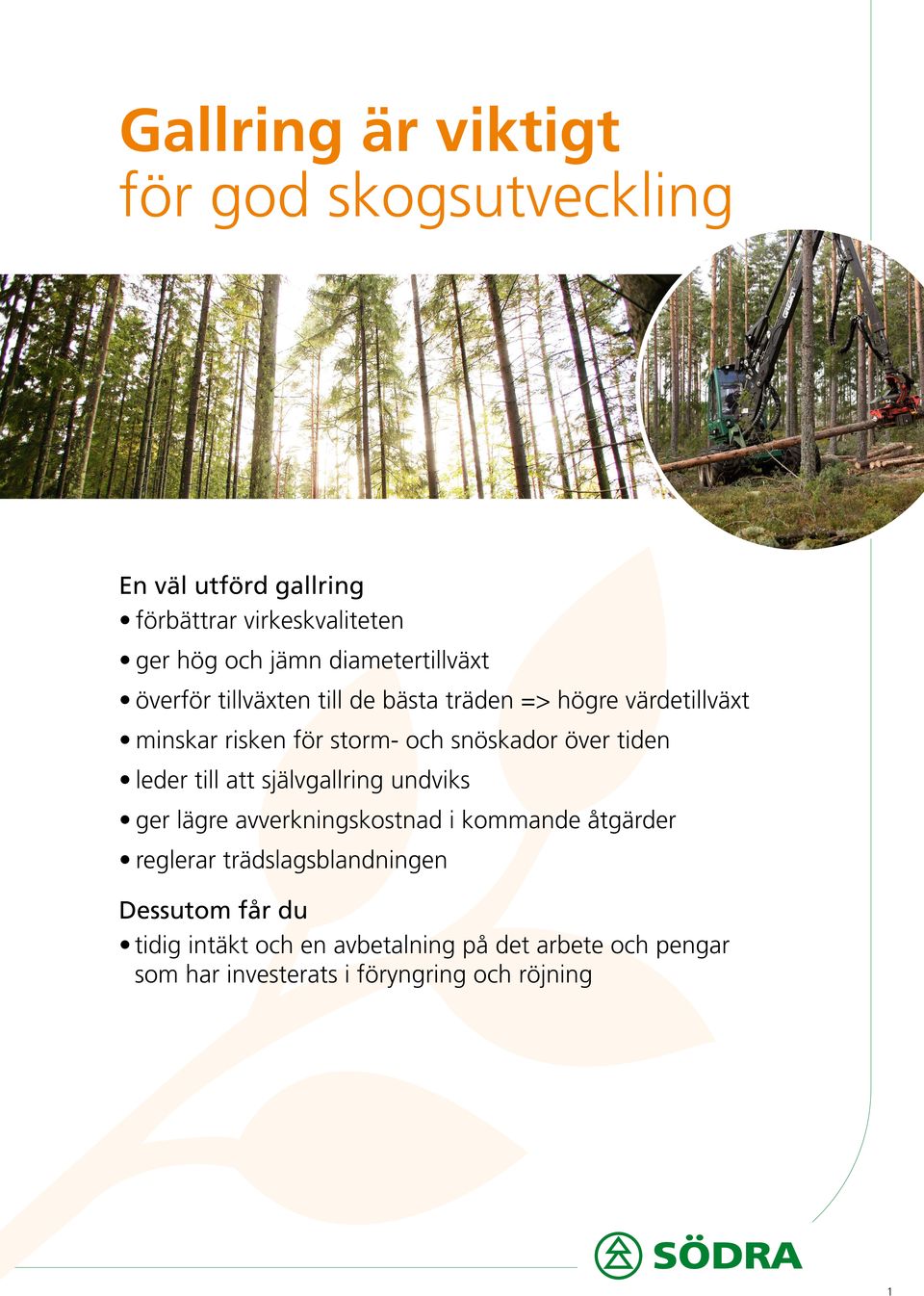 över tiden leder till att självgallring undviks ger lägre avverkningskostnad i kommande åtgärder reglerar