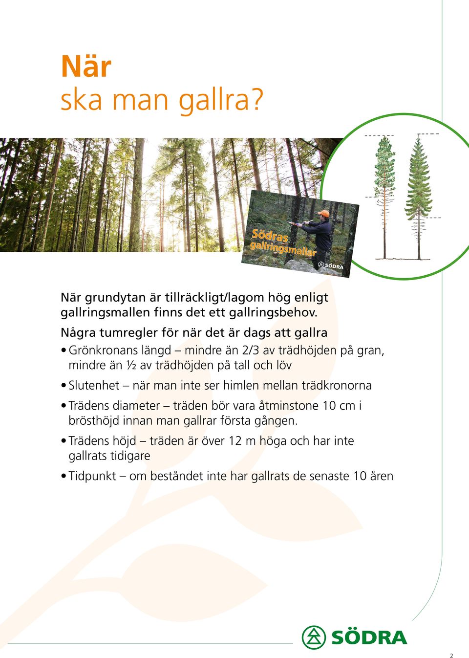 löv Slutenhet när man inte ser himlen mellan trädkronorna Trädens diameter träden bör vara åtminstone 10 cm i brösthöjd innan man gallrar