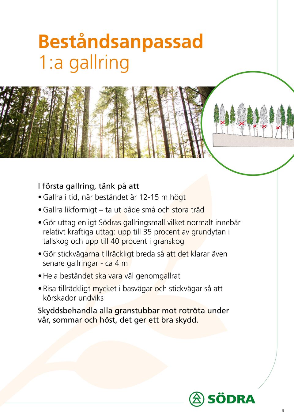 i granskog Gör stickvägarna tillräckligt breda så att det klarar även senare gallringar - ca 4 m Hela beståndet ska vara väl genomgallrat Risa
