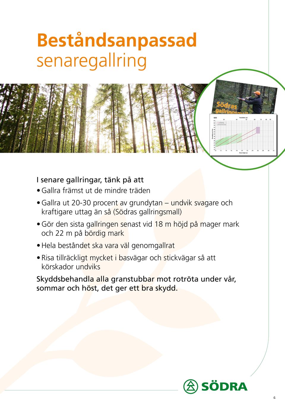 svagare och kraftigare uttag än så (Södras gallringsmall) Gör den sista gallringen senast vid 18 m höjd på mager mark och 22 m på bördig mark Hela beståndet ska vara väl