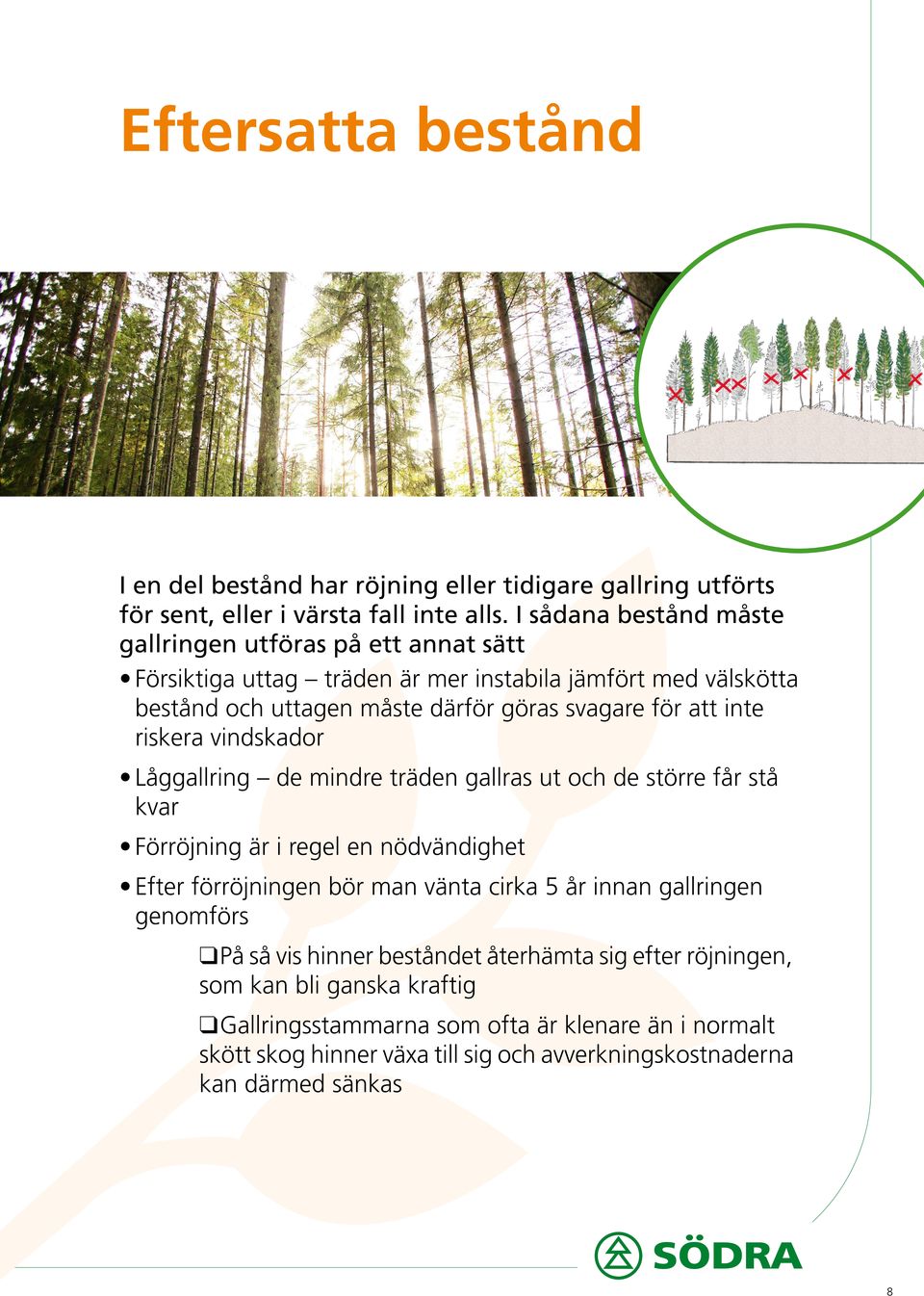 inte riskera vindskador Låggallring de mindre träden gallras ut och de större får stå kvar Förröjning är i regel en nödvändighet Efter förröjningen bör man vänta cirka 5 år innan
