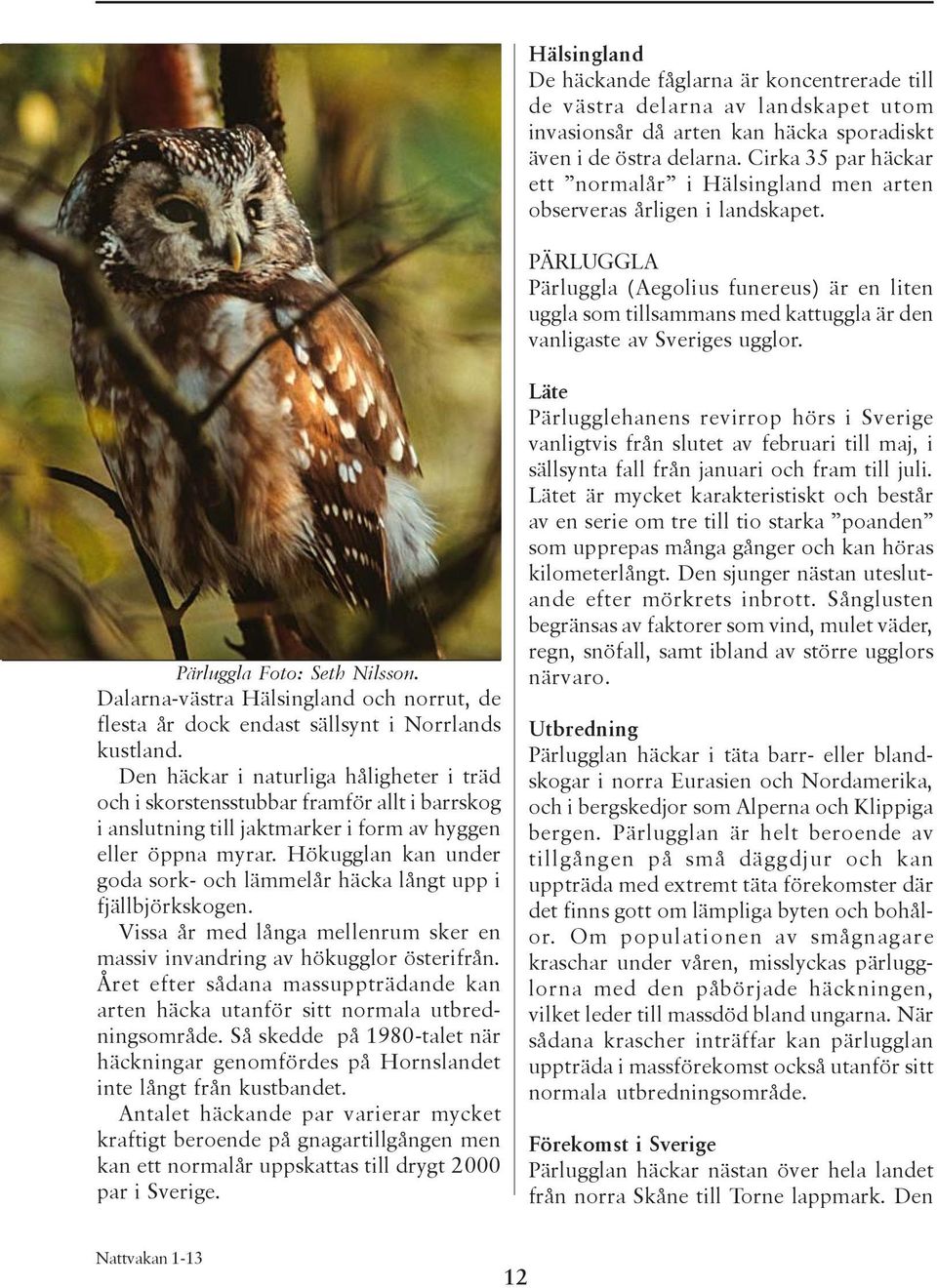 PÄRLUGGLA Pärluggla (Aegolius funereus) är en liten uggla som tillsammans med kattuggla är den vanligaste av Sveriges ugglor. Pärluggla Foto: Seth Nilsson.