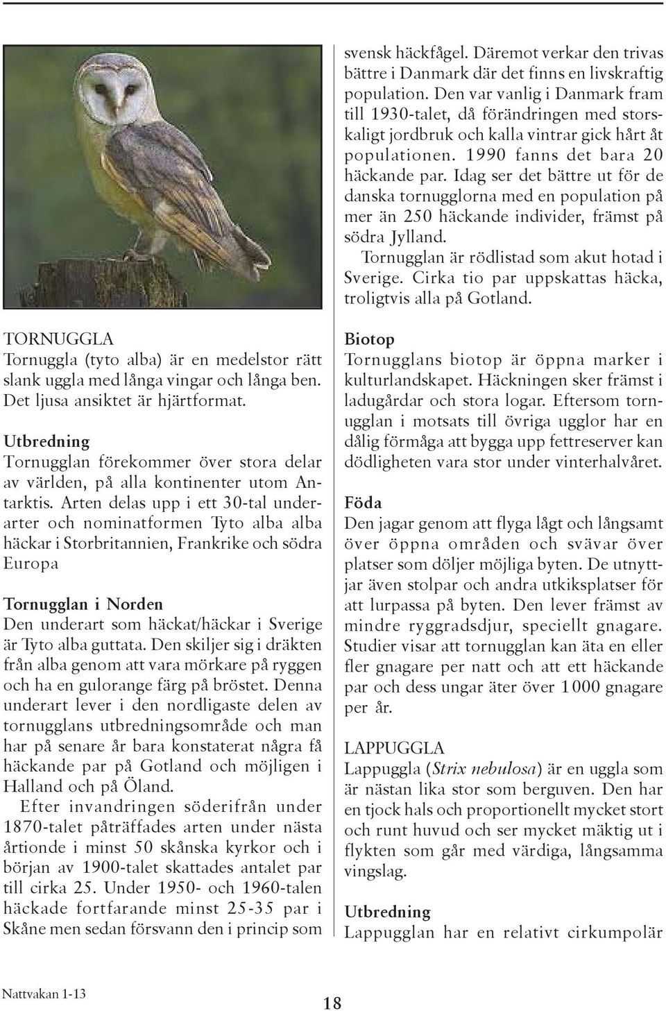 Idag ser det bättre ut för de danska tornugglorna med en population på mer än 250 häckande individer, främst på södra Jylland. Tornugglan är rödlistad som akut hotad i Sverige.