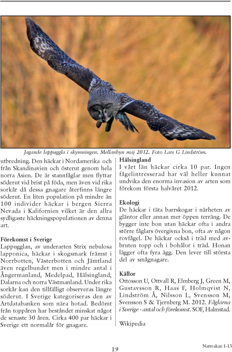 En liten population på mindre än 100 individer häckar i bergen Sierra Nevada i Kalifornien vilket är den allra sydligaste häckningspopulationen av denna art.