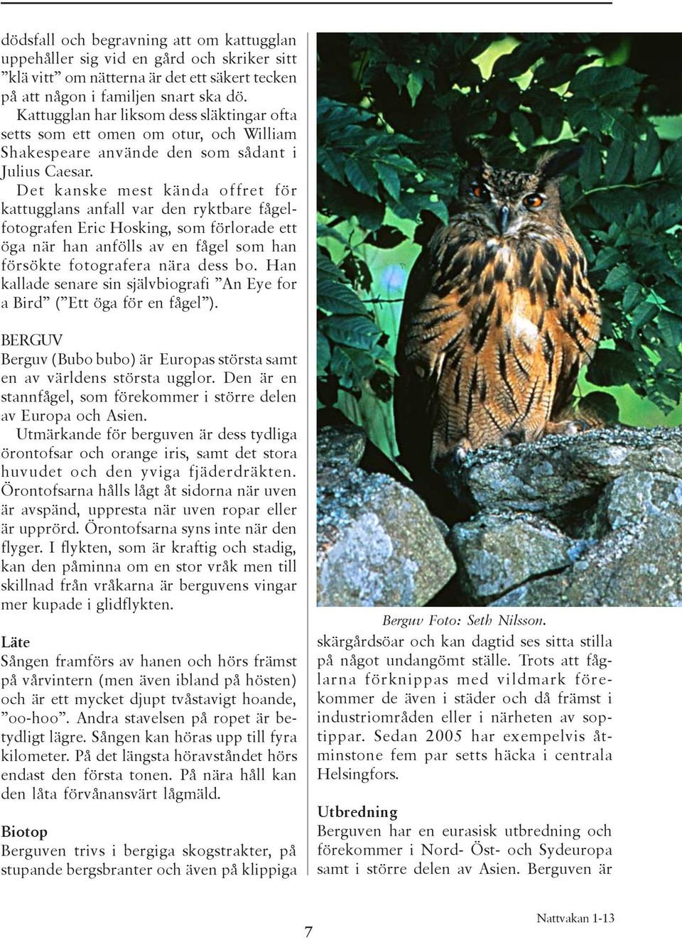Det kanske mest kända offret för kattugglans anfall var den ryktbare fågelfotografen Eric Hosking, som förlorade ett öga när han anfölls av en fågel som han försökte fotografera nära dess bo.