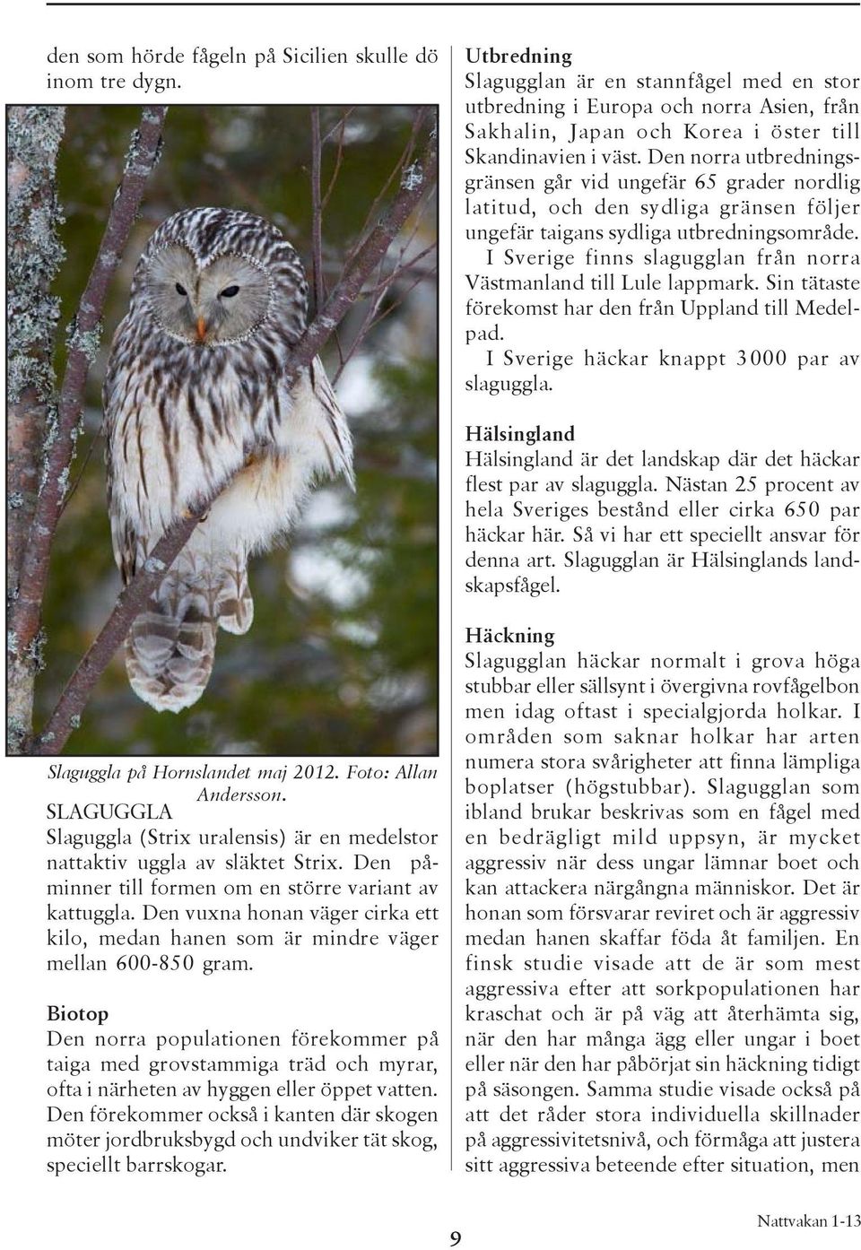 Den norra utbredningsgränsen går vid ungefär 65 grader nordlig latitud, och den sydliga gränsen följer ungefär taigans sydliga utbredningsområde.