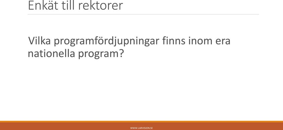 programfördjupningar