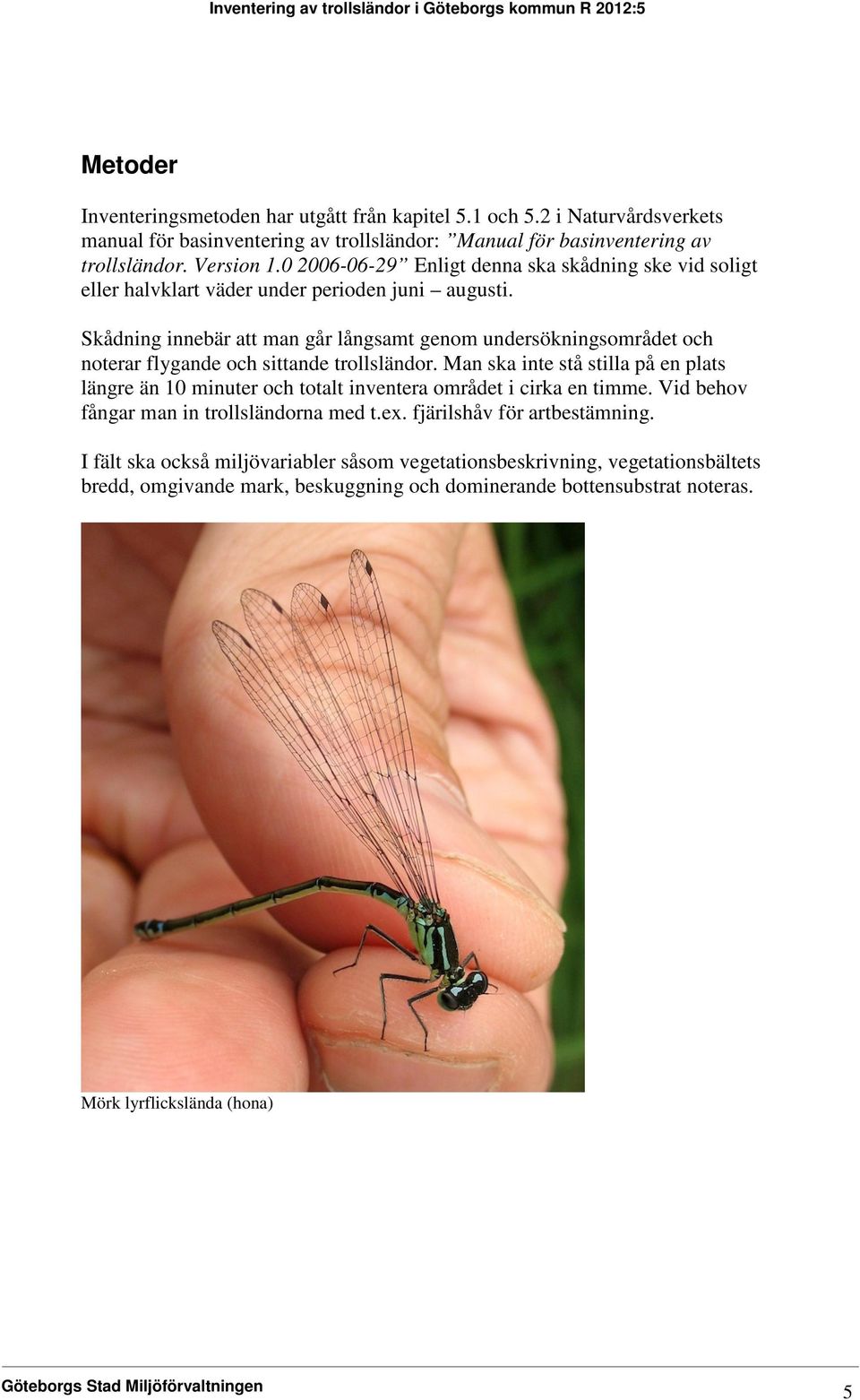 Skådning innebär att man går långsamt genom undersökningsområdet och noterar flygande och sittande trollsländor.