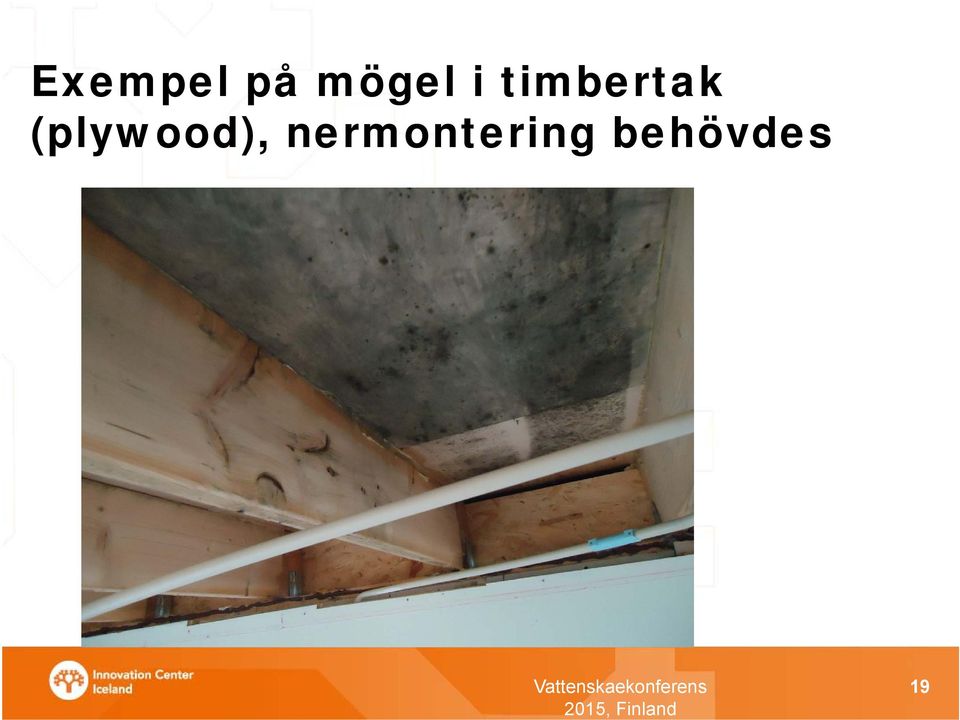 timbertak