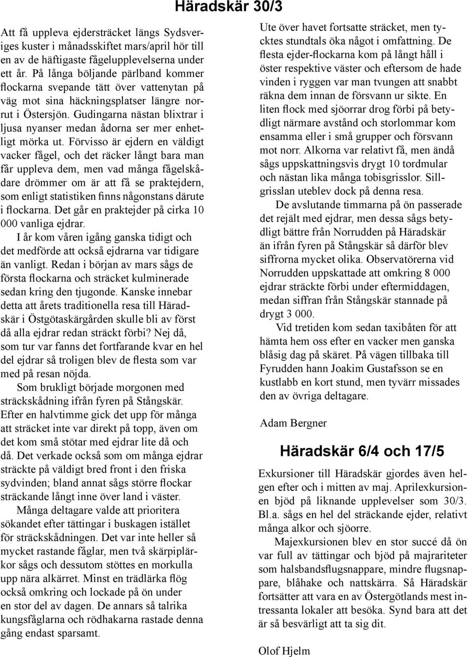 Gudingarna nästan blixtrar i ljusa nyanser medan ådorna ser mer enhetligt mörka ut.