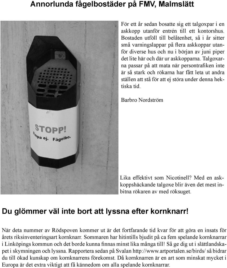 Talgoxarna passar på att mata när persontrafiken inte är så stark och rökarna har fått leta ut andra ställen att stå för att ej störa under denna hektiska tid.