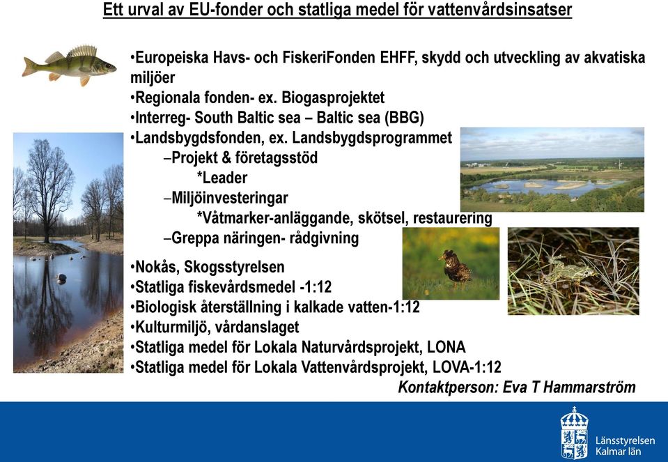 Landsbygdsprogrammet Projekt & företagsstöd *Leader Miljöinvesteringar *Våtmarker-anläggande, skötsel, restaurering Greppa näringen- rådgivning Nokås,