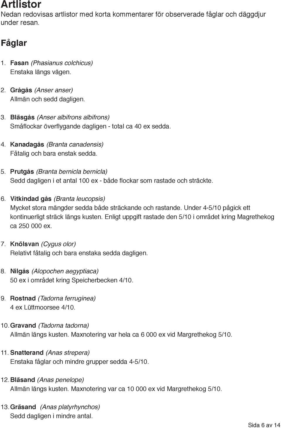 5. Prutgås (Branta bernicla bernicla) Sedd dagligen i et antal 100 ex - både flockar som rastade och sträckte. 6.