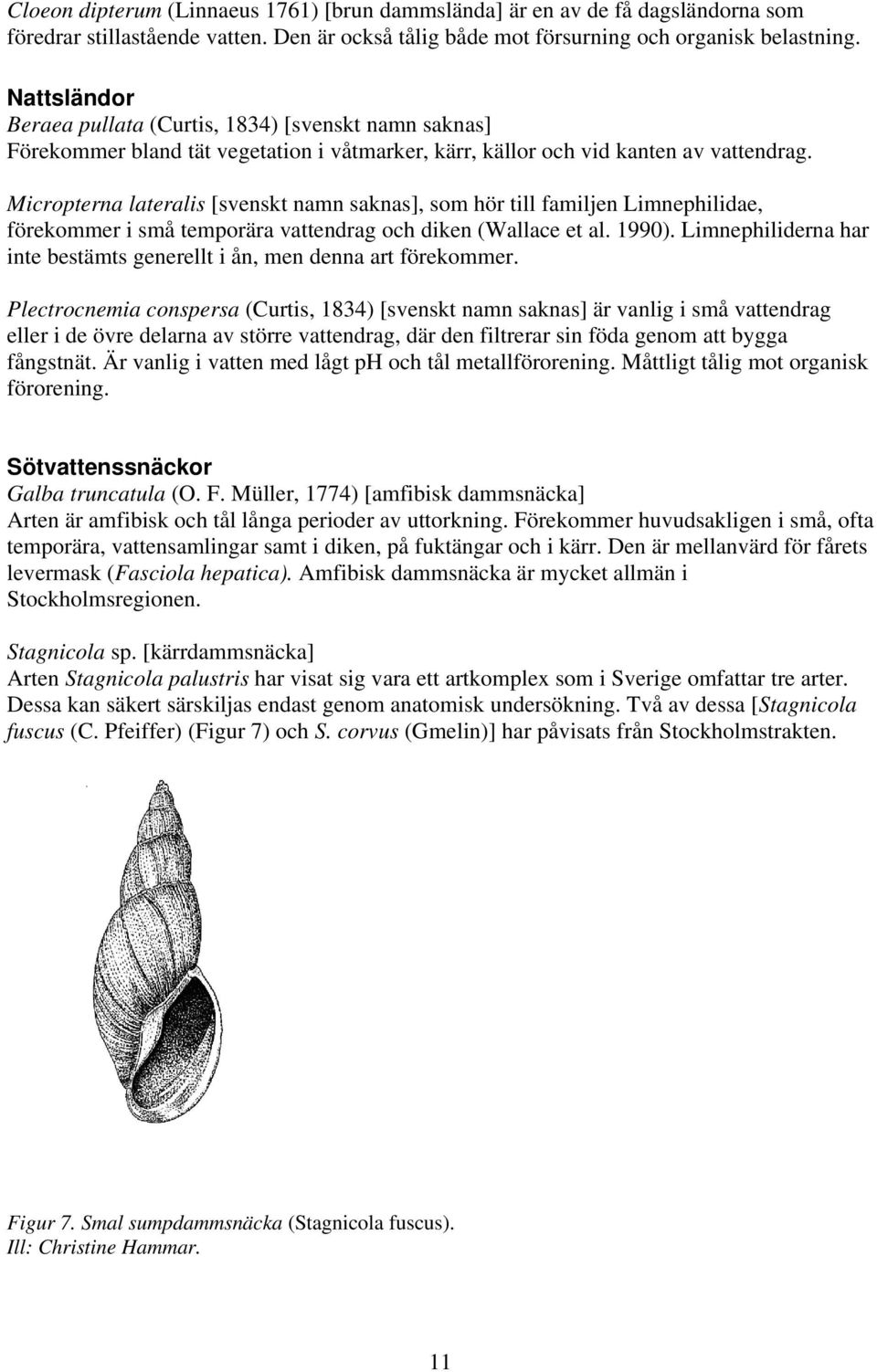 Micropterna lateralis [svenskt namn saknas], som hör till familjen Limnephilidae, förekommer i små temporära vattendrag och diken (Wallace et al. 1990).