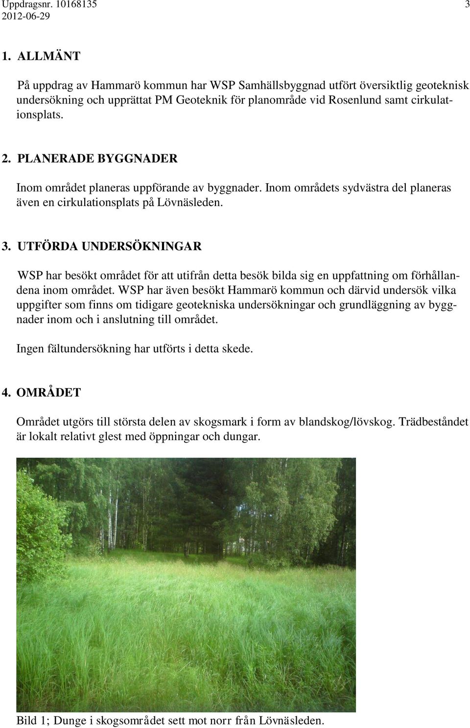 UTFÖRDA UNDERSÖKNINGAR WSP har besökt området för att utifrån detta besök bilda sig en uppfattning om förhållandena inom området.