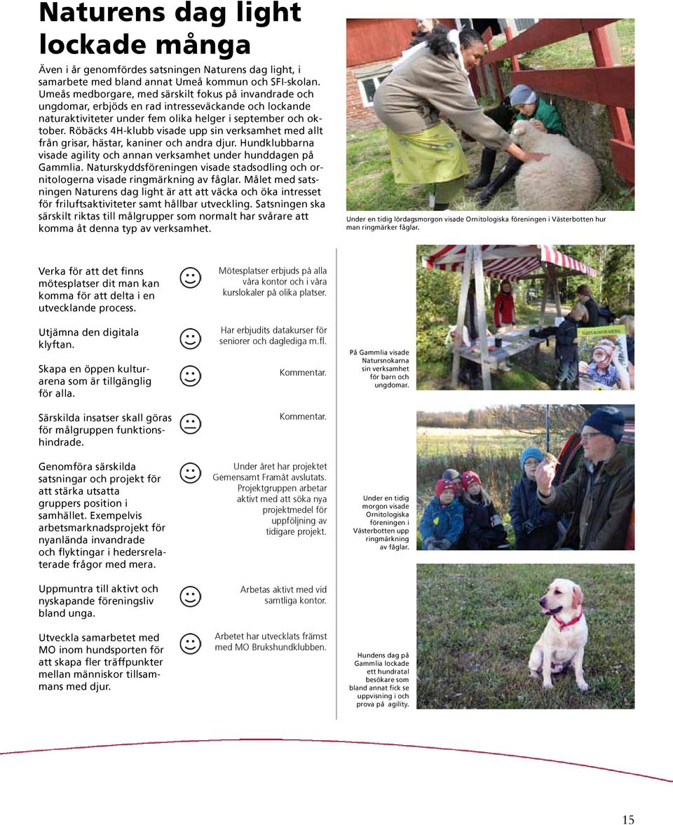 Röbäcks 4H-klubb visade upp sin verksamhet med allt från grisar, hästar, kaniner och andra djur. Hundklubbarna visade agility och annan verksamhet under hunddagen på Gammlia.