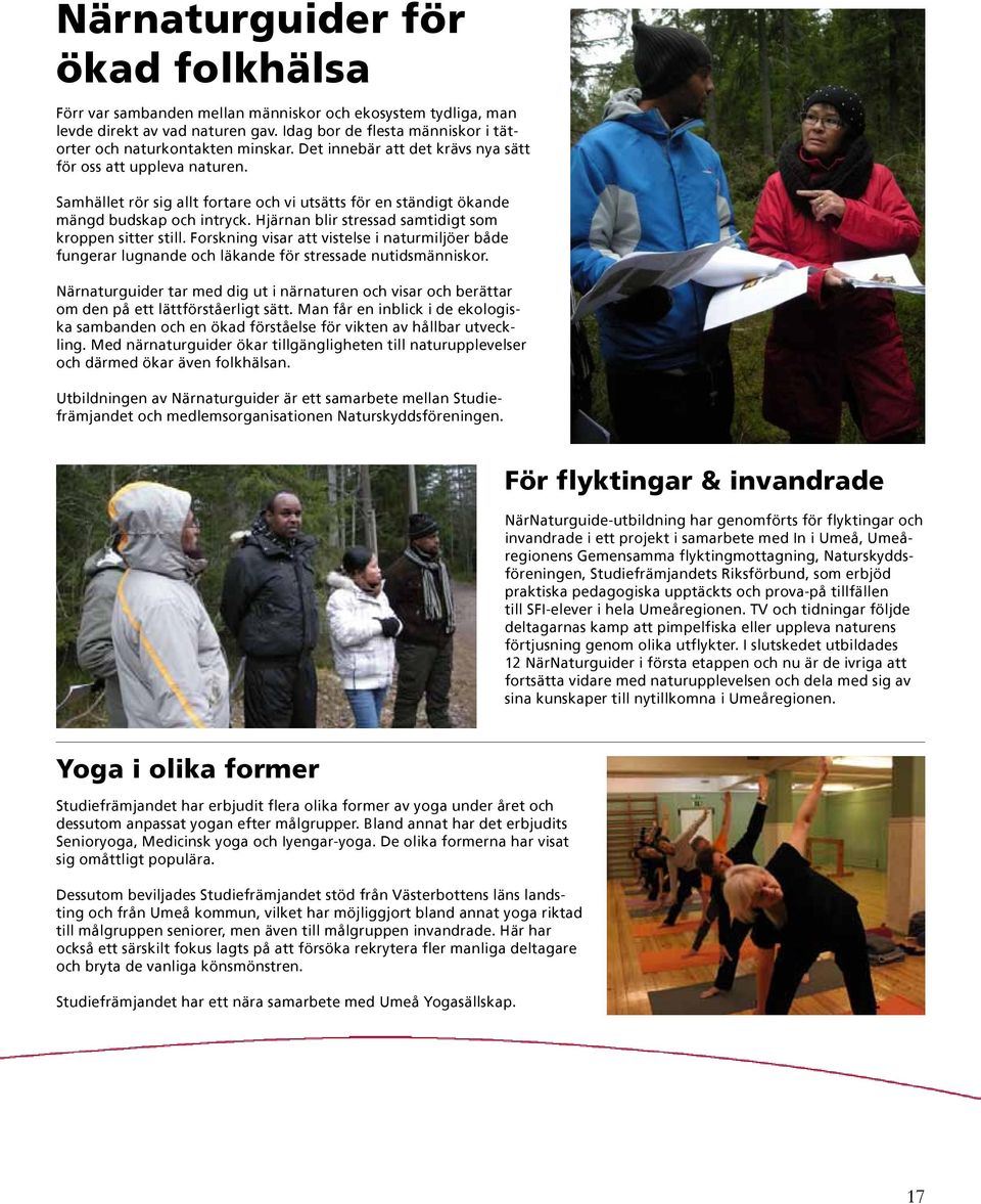 Hjärnan blir stressad samtidigt som kroppen sitter still. Forskning visar att vistelse i naturmiljöer både fungerar lugnande och läkande för stressade nutidsmänniskor.