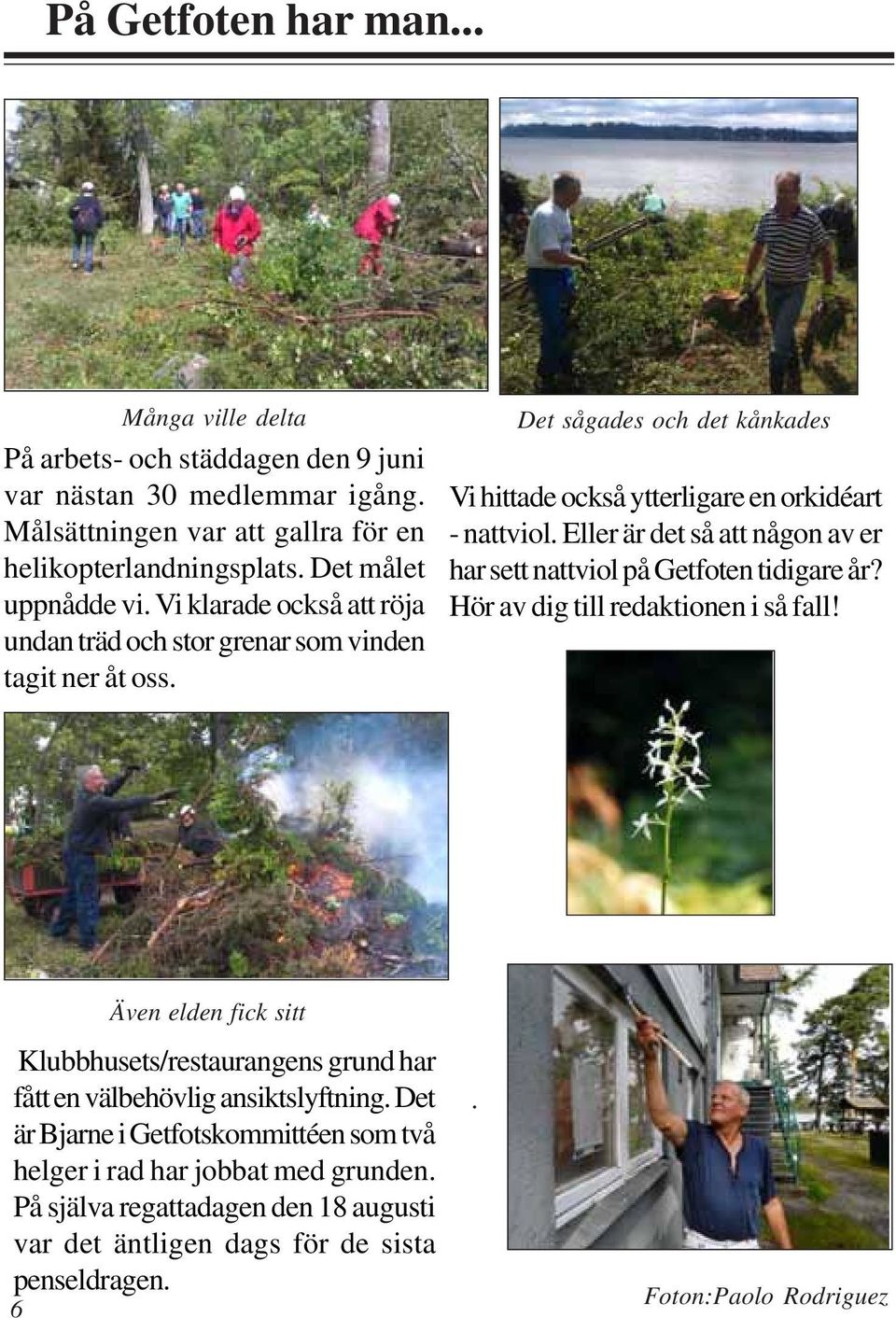 Eller är det så att någon av er har sett nattviol på Getfoten tidigare år? Hör av dig till redaktionen i så fall!