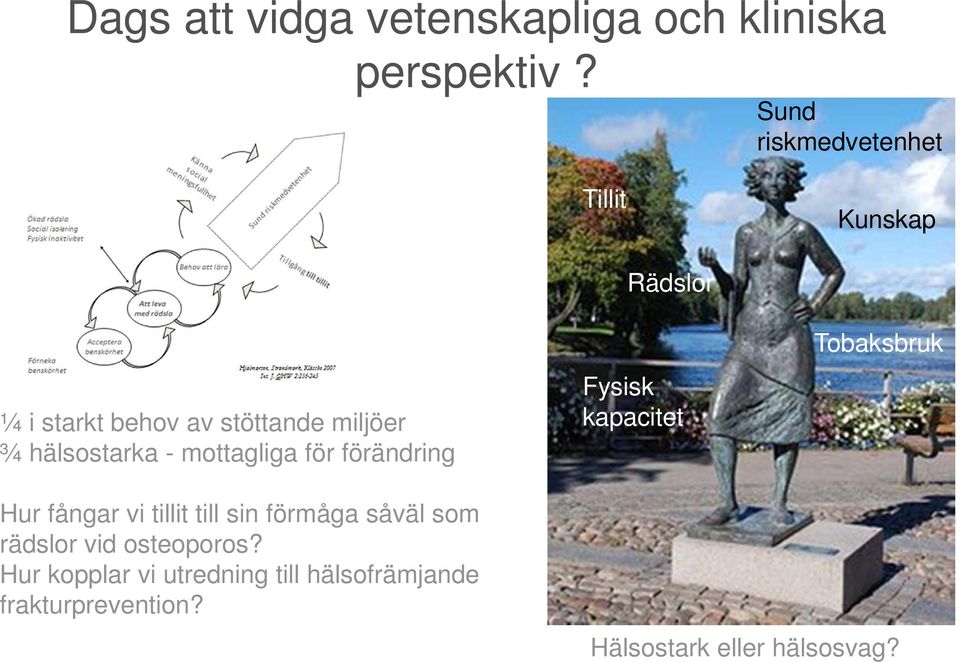 mottagliga för förändring Rädslor Fysisk kapacitet Tobaksbruk Hur fångar vi tillit till sin